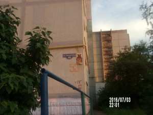 100_8779